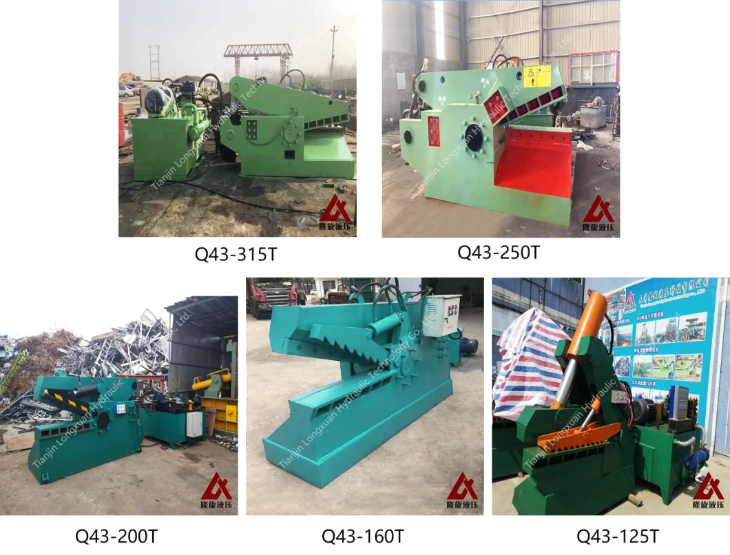 Q43-125t Crocodile Hydraulic Steel Shearing Machine/ Series Alligator Scrap Metal Shears for Sale