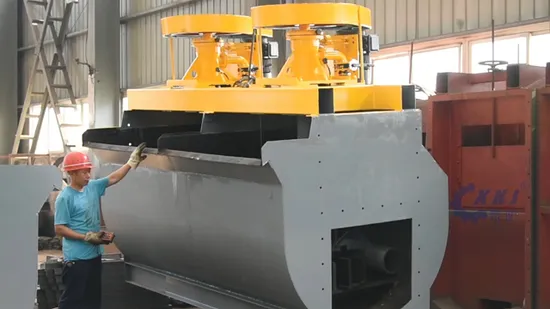 Professionelles Design eines Flotationsabscheiders von China Company